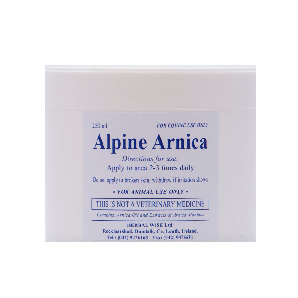 Alpine Arnica